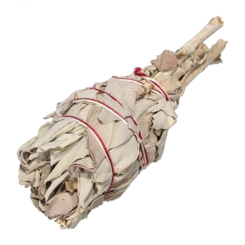 Biała szałwia pęczek.jpg